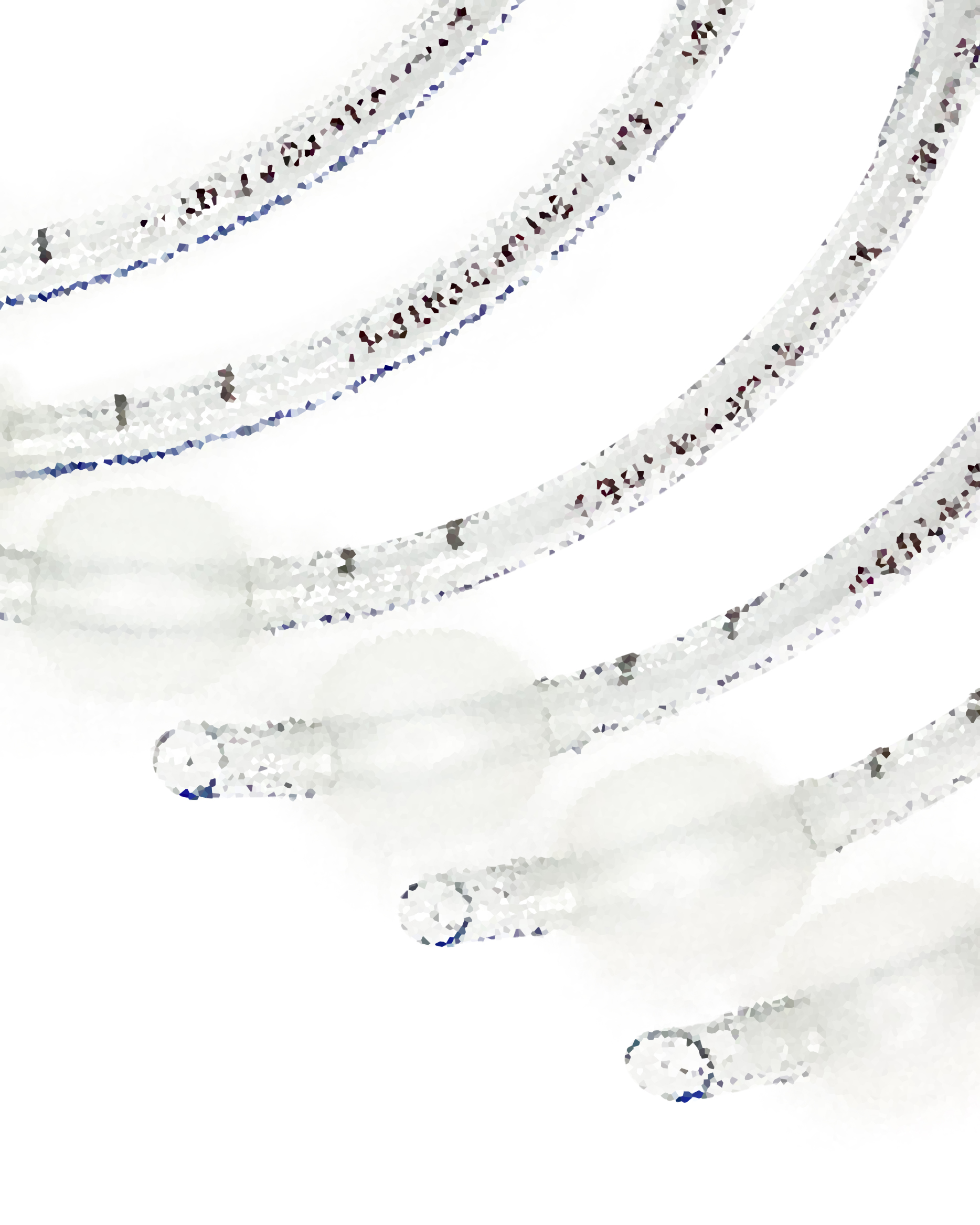 Endotracheal Tubes