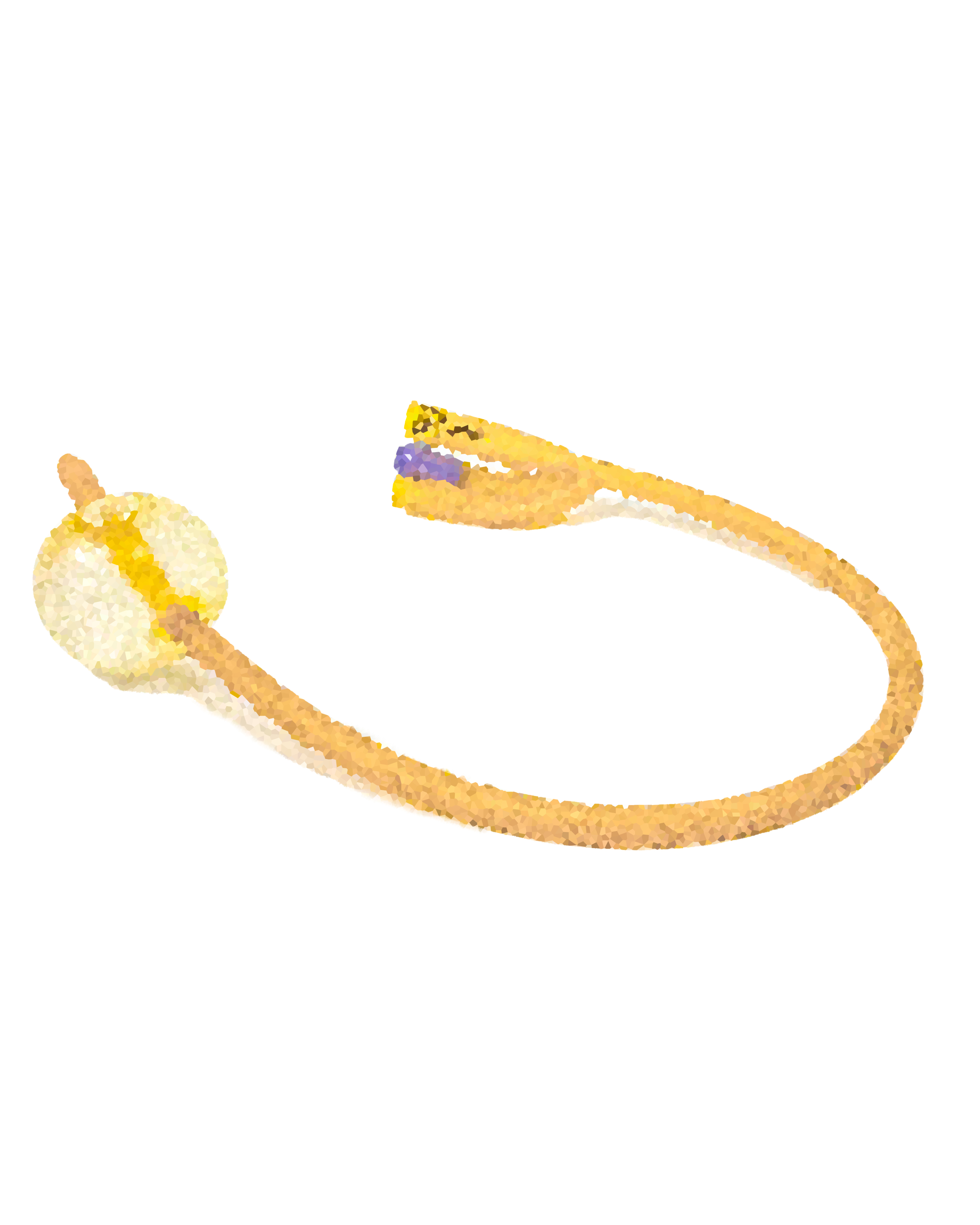 Foley Catheters
